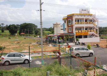 GOK06